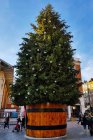Christmas_tree_europa2018.jpg