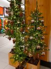 Christmas_tree_ny_store2018.jpg