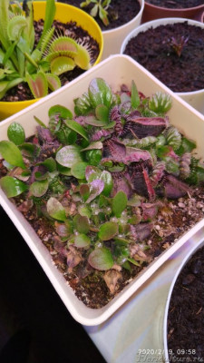 Фото до рассадки.