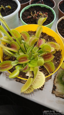 Другой ракурс