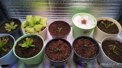 Эксперимент