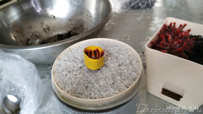 Многие сталкиваются с пересадкой подобного рода росянками, очень проблематично особенно когда разрослась, моя основная задача засыпать кварц под основание, безжалостно аккуратно обрезал нижние можно сказать отработанные листы и поместив вытягиванием за корень вниз в своего рода колбу и вуаля всё доступно, конечно же росянка в большом стрессе, но ничего страшного она восстановится.