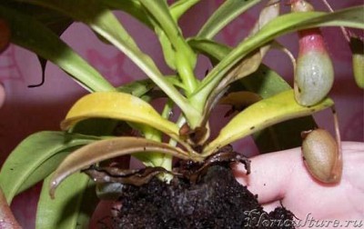 общая картина_2.jpg