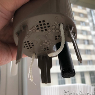 "Слабые корни", --- говорили они. "Сажайте в мелкий горшок", --- говорили они...