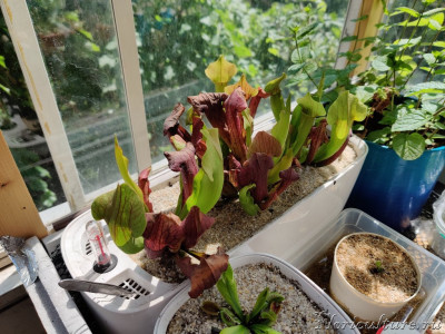 Это - сегодня