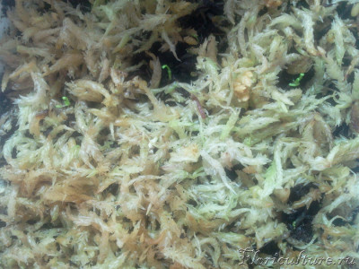 Совсем маленькие