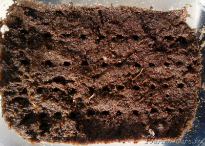 IMG_20200722_071033~2.jpg (421.59 КБ) 2269 просмотров Такая вот грядка с 44мя лунками.