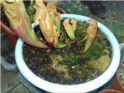 4 апреля вынес на улицу, просыпаться после холодной веранды