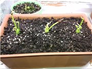 Ещё 3. А главное ничего не бояться при этом.  :Smyshenie: