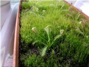 А детки и раньше хорошо кушали.