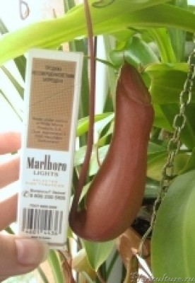 Изображение 102.jpg