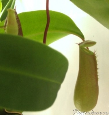 Изображение 07211.jpg