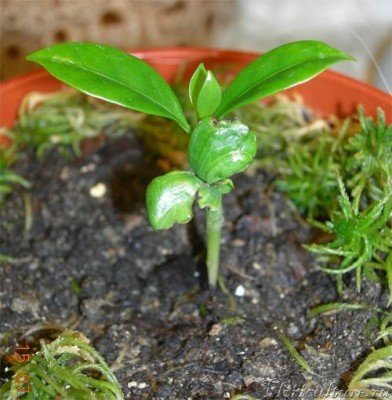 А это сейчас