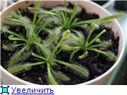 а это сейчас, еще месяца нет после покупки