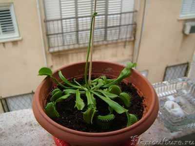 Изображение 113a.jpg