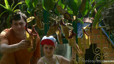 Можно покажу свою лошадку маленькую. <br />Миранда.