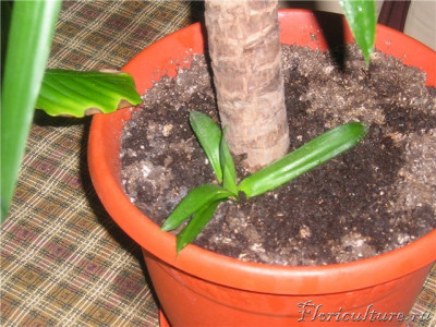 0ab45f83321b.jpg.html