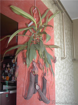 2ad681710d24.jpg.html