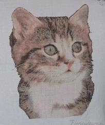 Кошка к сумке.jpg