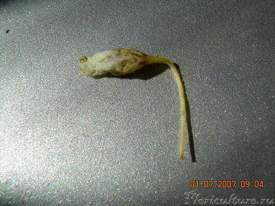 Очередная страшилка-отпад!