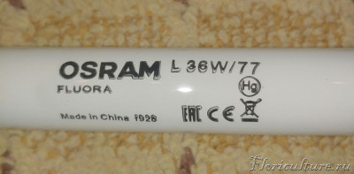 Osram fluora (China)