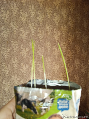 IMG_20231224_142455.jpg (237.57 КБ) 295 просмотров IMG_20231224_142455.jpg