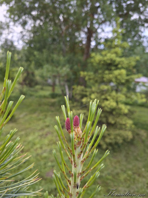 20260530_175550.jpg