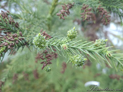 20260530_164235.jpg