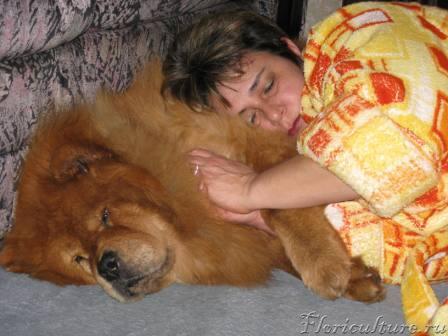 Иногда к ней хочется присоединиться , но она диванов не любит