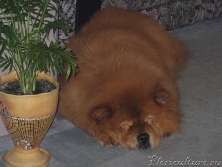 Изображение 001.jpg