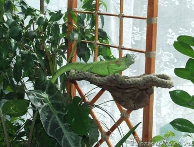 Хуанчик на грибочке.JPG