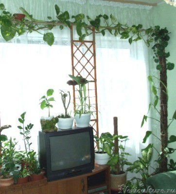 Правая часть.JPG