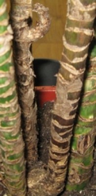 Изображение 0171.jpg