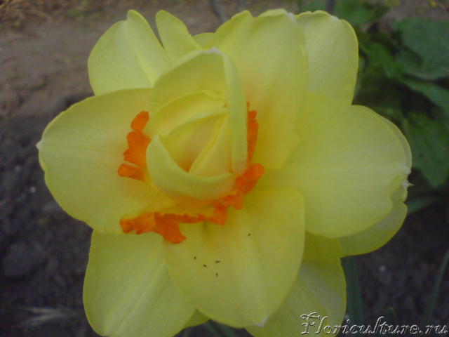 Изображение 001.jpg