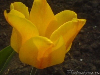 Изображение 006.jpg