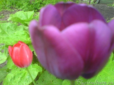 Изображение 050.jpg