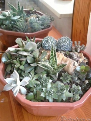 Мое любимое творение. Этой композиции уже несколько лет