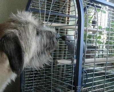 Каспер и Проша.JPG