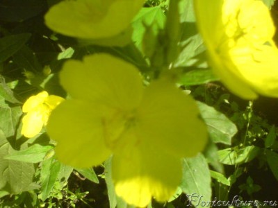 Изображение 106.jpg