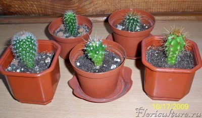 000_0086 (копия).jpg