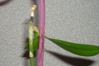 DSCN3419.jpg
