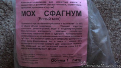 Вот такой сфагнум я сумел найти. Внутри пакета сухой мох.