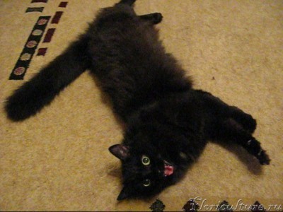 Улыбнитесь, Вас снимают скрытой камерой!