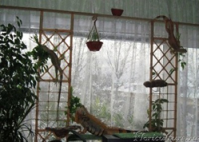 23 февраля мелкое.jpg