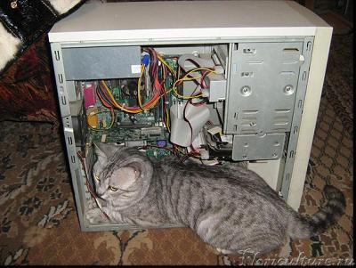 любитель компов