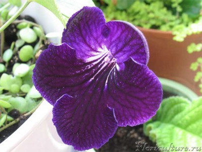 полярная ночь.jpg