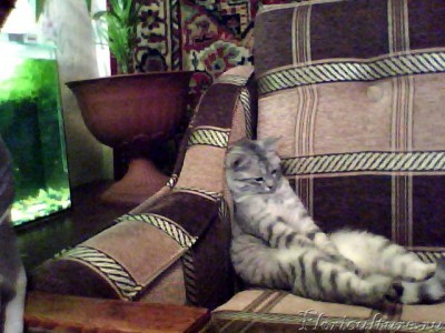 Изображение 001.jpg