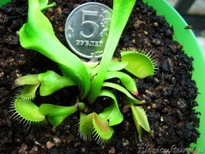 с другой стороны