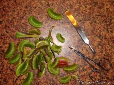 Теперь и варенье можно варить!