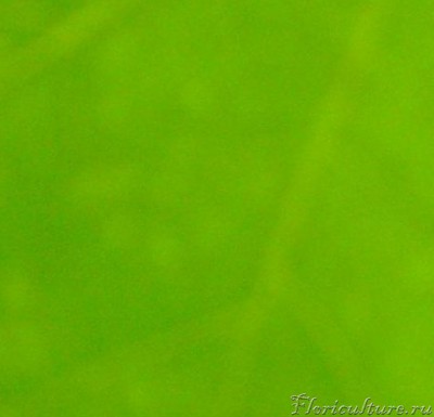 Извините, фото плохого качества но думаю всё понятно